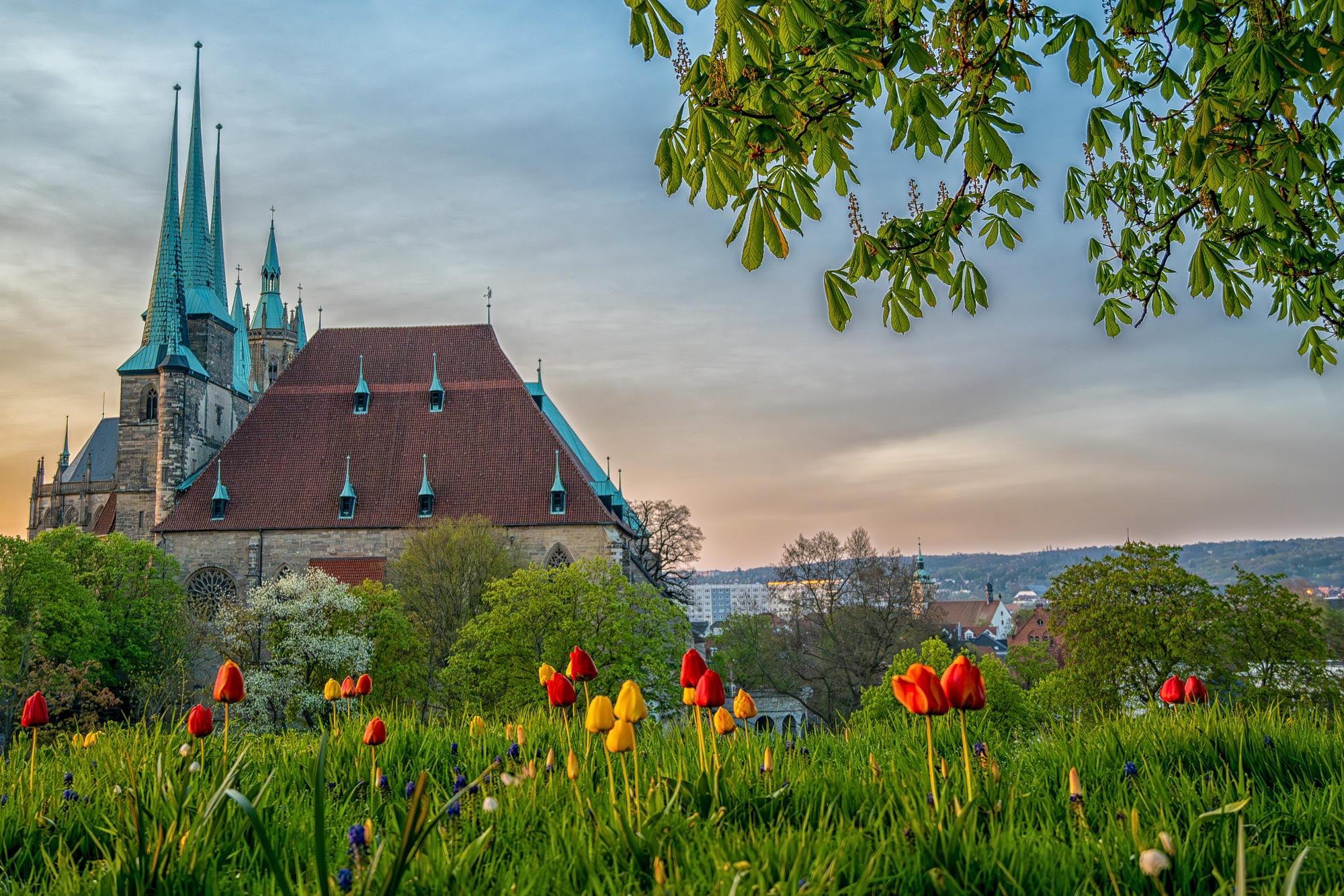 Dom und Severikirche in Erfurt, wenige Minuten fußläufig entfernt vom Standort von RITTWEGER + TEAM Erfurt